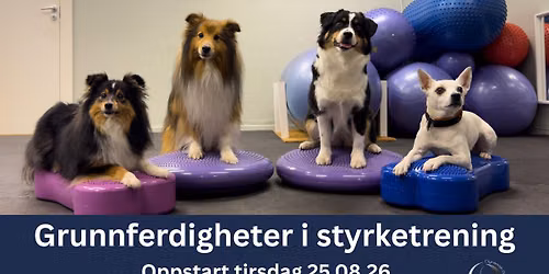 Grunnferdigheter i styrketrening