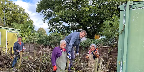 Volunteer Task Force