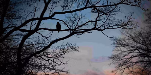 Out in the Parks: Skyline Sunset Hike