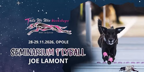 Astralne seminarium flyball z Joe Lamont
