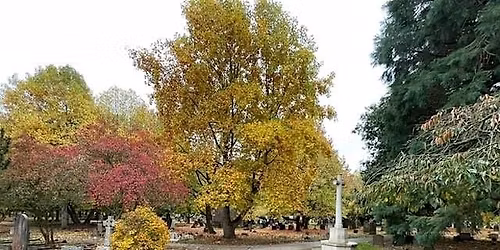 Guided tour of exotic tree collection at Canterbury Cemetery