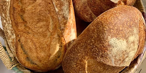 Sourdough 101
