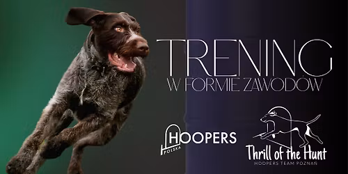 TRENING W FORMIE ZAWOD\u00d3W - 3\/2026