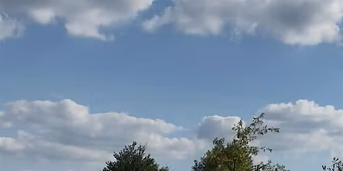 Pony Preschool April #1