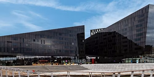 'British Chinese' Art and Artists: Screening and Talk