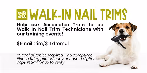 Walk-In Nail Trim Training Clinic (Dublin)
