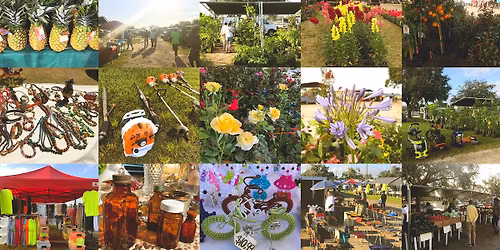 Orlando Outdoor Market