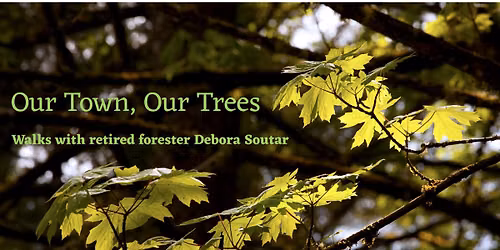 Our Town, Our Trees: Central Community Park Walk with Debora Soutar