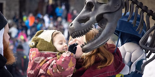 NOVORO\u010cN\u00cd V\u00ddSTUP NA HELF\u0160T\u00ddN