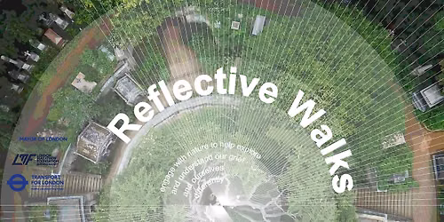 Reflecting on grief: walks in nature