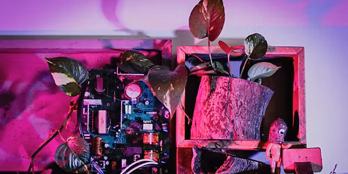 Current Exhibitions at Umbrella