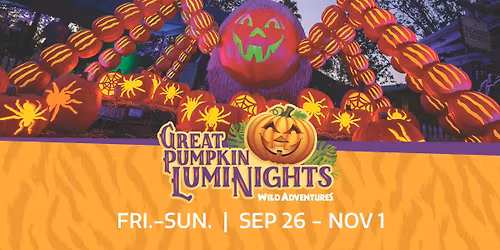 Great Pumpkin LumiNights \/ Pumpkin Spice Festival