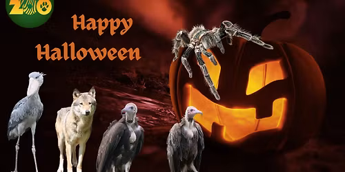 Locals Month 3rd November - 30th November 2025