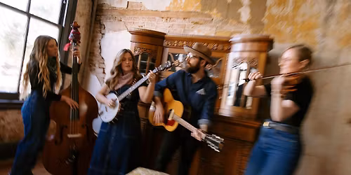 Admiral Radio + Forest Mountain Lion