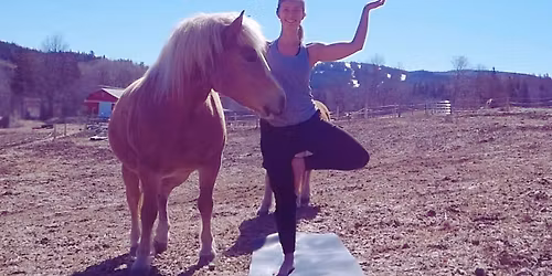 Horse Yoga at WEAH