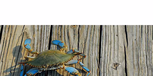 Feeling Crabby!-Tiny Tots (3-5 years), $4 cash per child