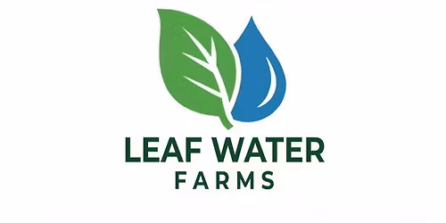 Local Micro Greens at Butcher Boy