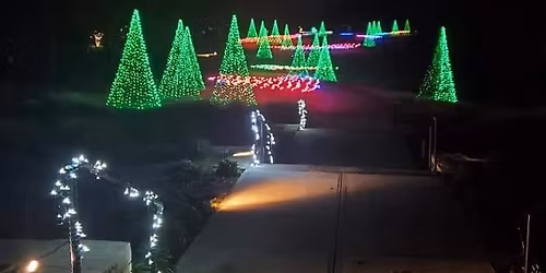 Holiday Lights at the Botanical Garden