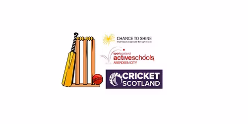 Introduction to Cricket CPD for School Staff