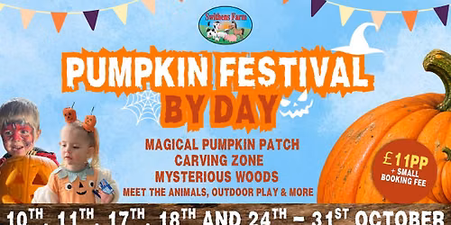 Pumpkin Festival By Day