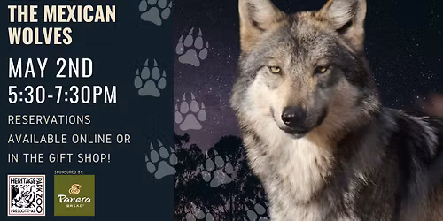 Evening with the Wolves