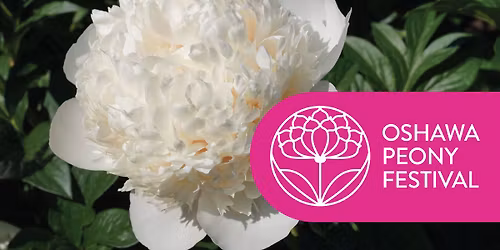 Peony Festival