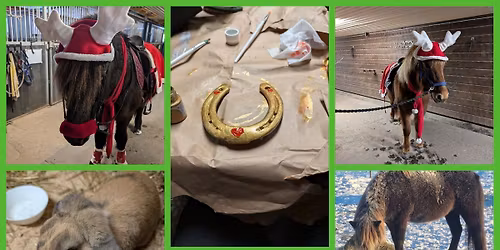 Adventsmys i stallet