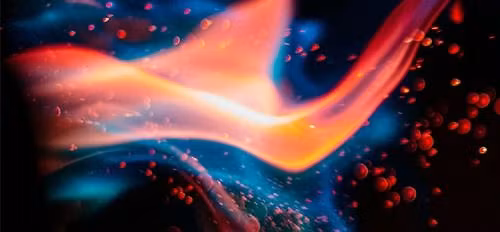 FP's MTG Regional Champion Qualifier Season 25\/26, Round 3 (Standard)