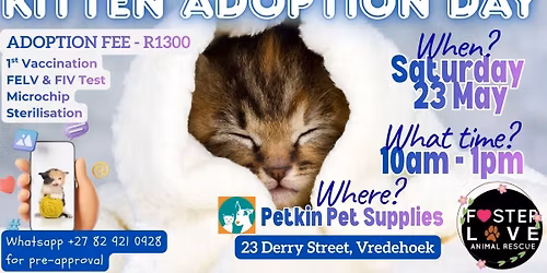 Kitten Adoption Day