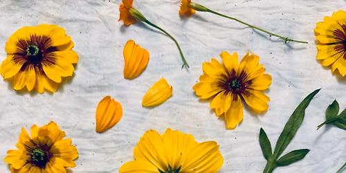 Fresh Eco Printing at La Mercerie