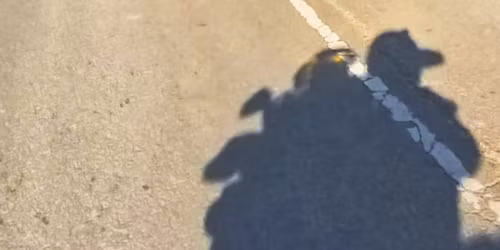 \ud83c\udfcd\ufe0f \u03a3\u03b5\u03bc\u03b9\u03bd\u03ac\u03c1\u03b9\u03bf \u0391\u03c3\u03c6\u03b1\u03bb\u03bf\u03cd\u03c2 \u039f\u03b4\u03ae\u03b3\u03b7\u03c3\u03b7\u03c2 - 24 \u039c\u03b1\u03c1\u03c4\u03af\u03bf\u03c5 