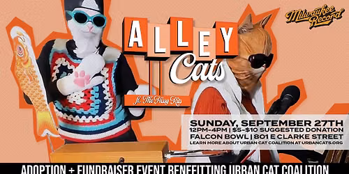 Alley Cats III: Meowloween ft. The Hissy Kits @ Falcon Bowl