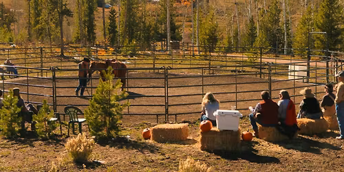 \ud83d\udd36Rouven Krauer\ud83d\udd36 Equine Connection & Horsemanship Weekend Clinic - Sat - Sun, 16th - 17th May