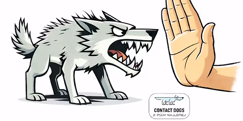 Presja, kontrola, zakaz czyli sztuka m\u00f3wienia psu NIE.