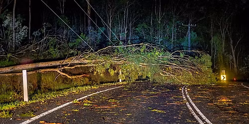 Celebrate Logans Resilient Community