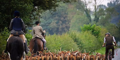 Hurworth Mounted Hound Exercise Morning