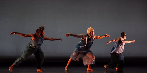 Fall M.F.A. Dance Thesis Concert
