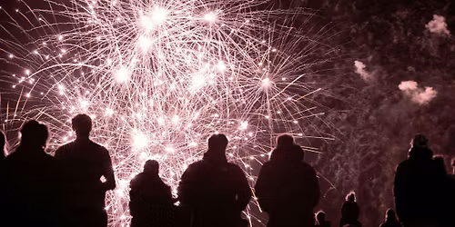 The science of fireworks (family)
