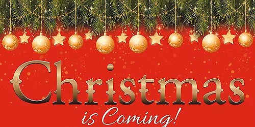 K9 Focus Victorian Christmas Fayre & Festive Dog Show