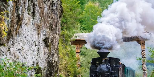 CIRCUIT MARAMURES,PLECAREA DIN SIBIU LA DOAR 590 LEI \/PERS