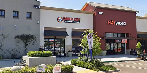 Roseville - Dog dental cleaning