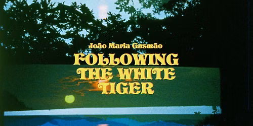 Jo\u00e3o Maria Gusm\u00e3o. Following the White Tiger | wystawa