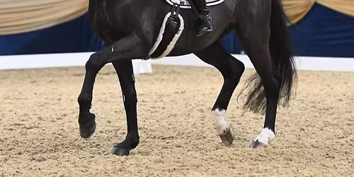 Lindsay Hancock Dressage \/ Flat work Clinic