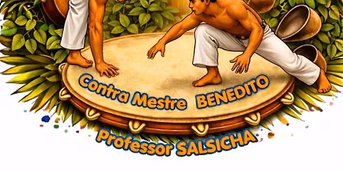 FESTIVAL CAPOEIRA SENZALA VILLEFRANCHE 