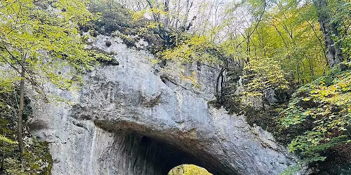 \u0412\u0440\u044a\u0445 \u0421\u0432\u043e\u0431\u043e\u0434\u0430,1944\u043c - \u043f\u0440\u043e\u043b\u0435\u0442\u043d\u043e \u043f\u0440\u0438\u043a\u043b\u044e\u0447\u0435\u043d\u0438\u0435 \u0432 \u0420\u043e\u0434\u043e\u043f\u0438\u0442\u0435!