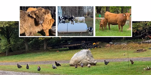 Family & Friends Day