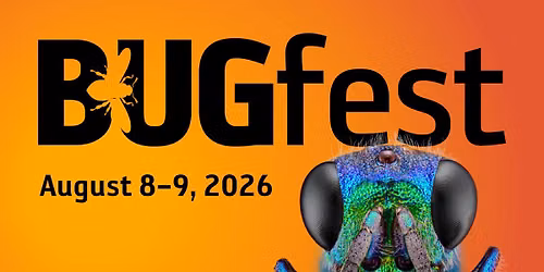 BugFest