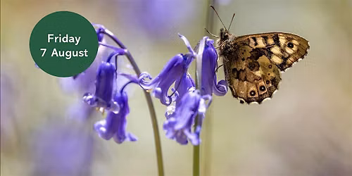 Ouse Burn Way: Butterfly Walk