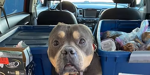 Pet Food Distribution day