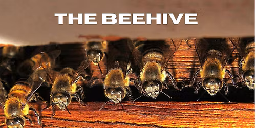 Firecat First Friday: The Beehive